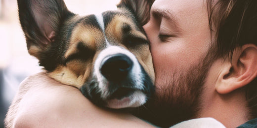 How Does the Crematorium Ensure I Get Back Only My Dog's Ashes?