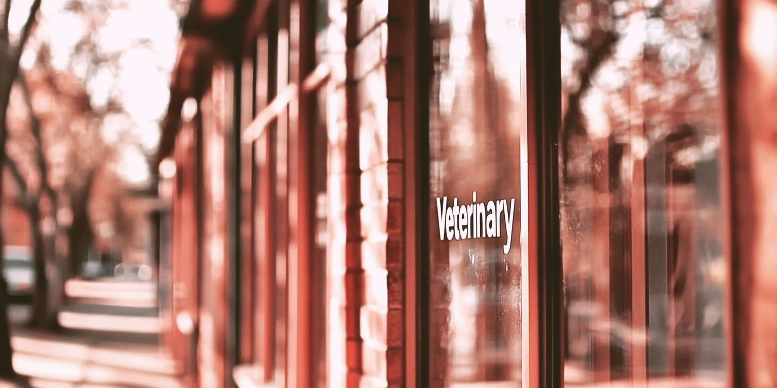 Saying Goodbye at Home: The Benefits of Mobile Vet Euthanization